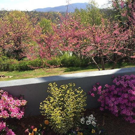 Biltmore Village Inn B&B Ашвил Екстериор снимка